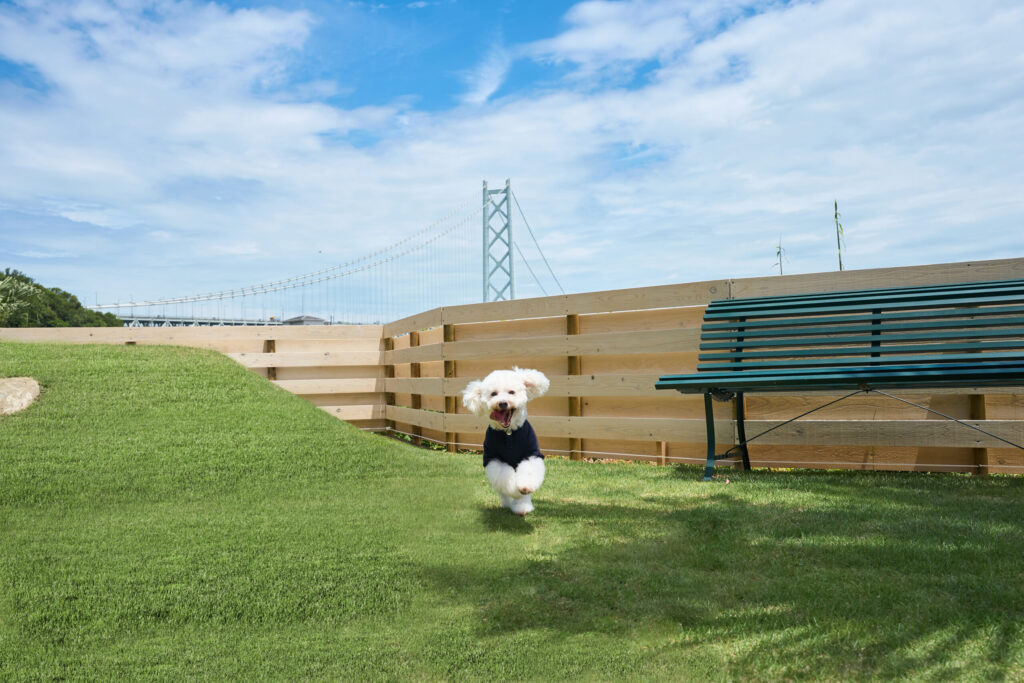 淡路島で叶える秋冬ペット旅行｜愛犬と泊まれる一棟貸し＆愛犬と楽しむスポットガイド